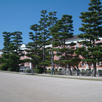 芸能系専門学校からの卒業後はフリーランスで働く！